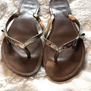 Flip flop Sandals
